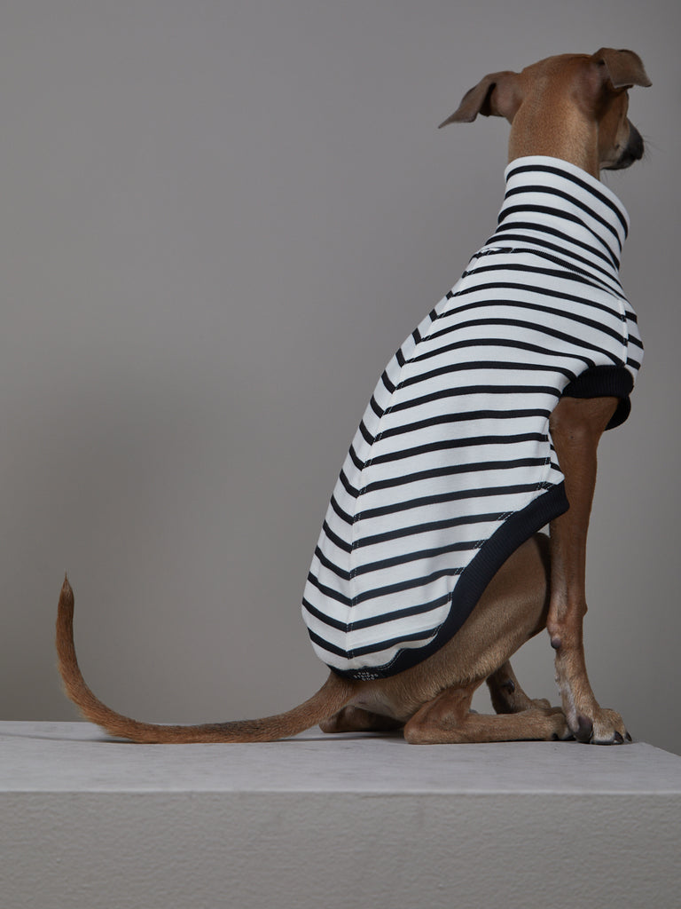 Italian Greyhound / Whippet Striped Black & White Turtleneck Vest SHADE