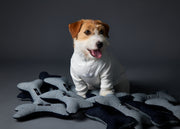 Bone Toy UNIVERSAL