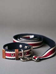 Striped Collar and Leash