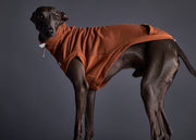 Italian Greyhound / Whippet Terracotta Turtleneck Vest MELROSE