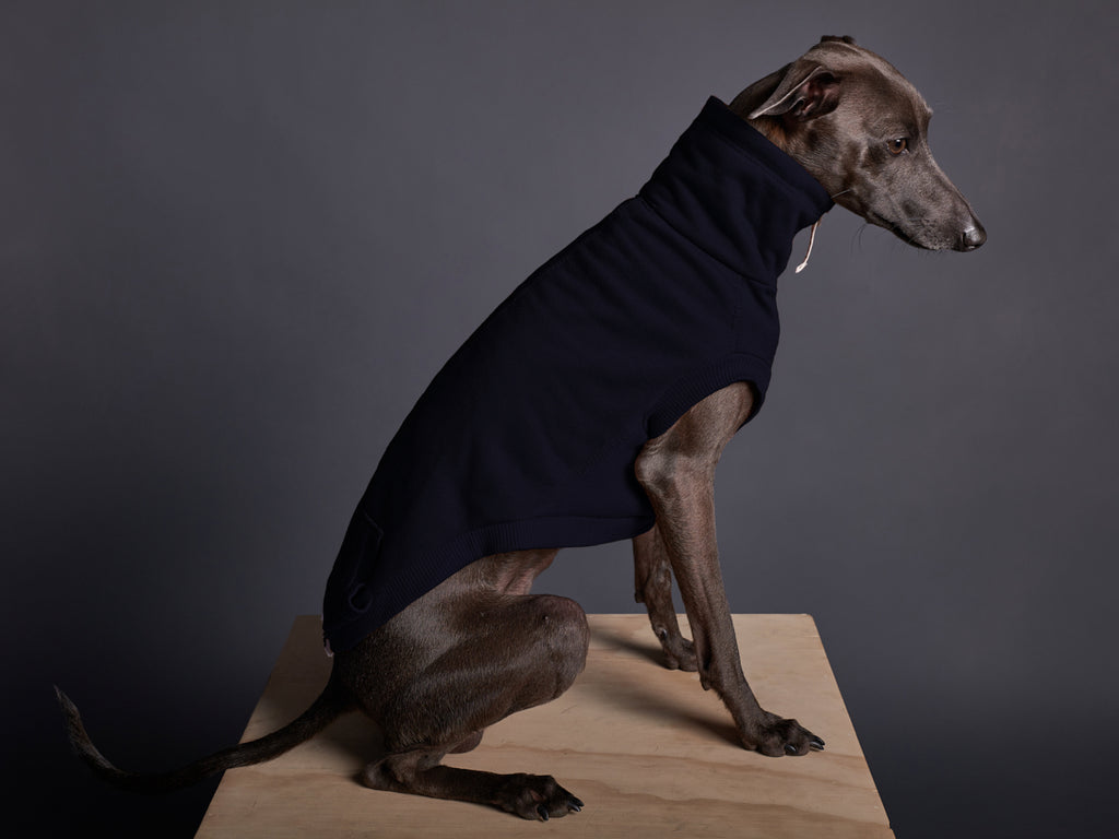 Italian Greyhound / Whippet Blue Turtleneck Vest MELROSE
