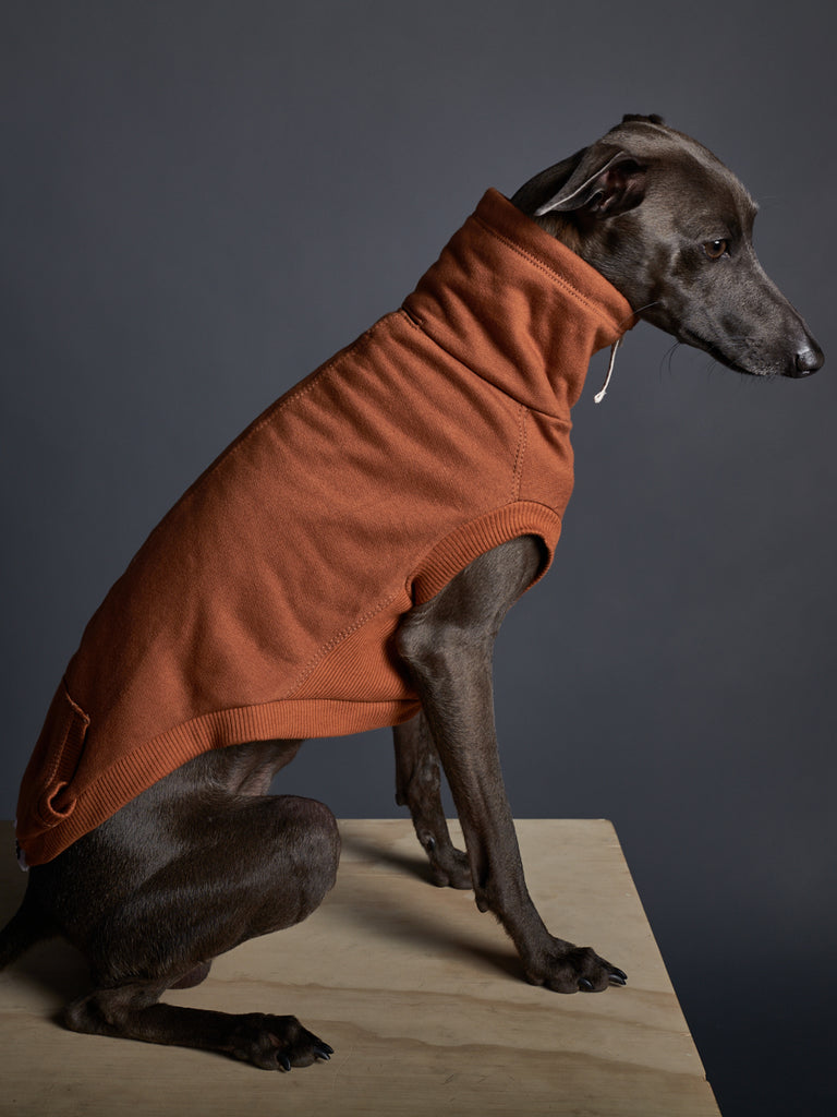 Italian Greyhound / Whippet Terracotta Turtleneck Vest MELROSE