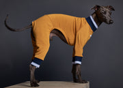 Italian Greyhound / Whippet Mustard Jumpsuit with Striped Neckline and Cuffs WARNER