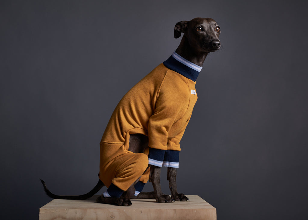 Italian Greyhound / Whippet Mustard Jumpsuit with Striped Neckline and Cuffs WARNER