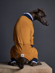 Italian Greyhound / Whippet Mustard Jumpsuit with Striped Neckline and Cuffs WARNER