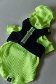 Black Neoprene Harness with Reflective Neon Stripe CHROMA