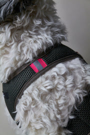 Military Green Neoprene Harness with Reflective Neon Stripe CHROMA