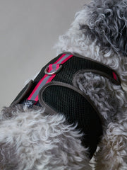Military Green Neoprene Harness with Reflective Neon Stripe CHROMA