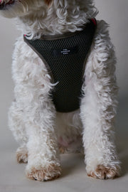 Military Green Neoprene Harness with Reflective Neon Stripe CHROMA