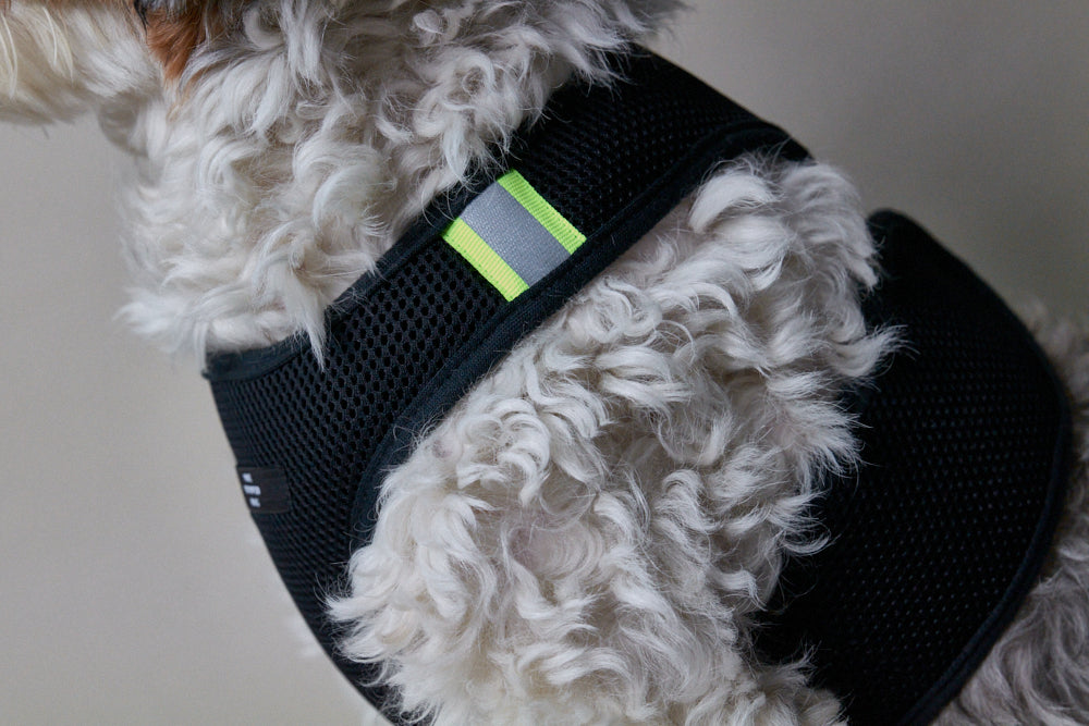 Black Neoprene Harness with Reflective Neon Stripe CHROMA
