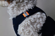 Blue Neoprene Harness with Reflective Neon Stripe CHROMA