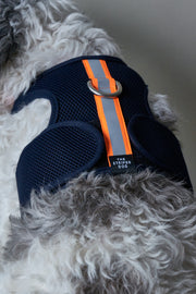 Blue Neoprene Harness with Reflective Neon Stripe CHROMA