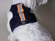 Blue Neoprene Harness with Reflective Neon Stripe CHROMA