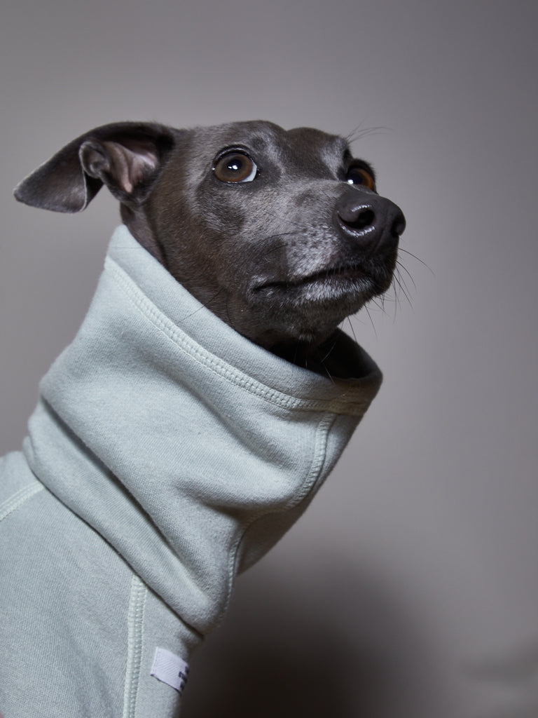 Italian Greyhound / Whippet Mint Green Turtleneck Jumpsuit RIVERSIDE