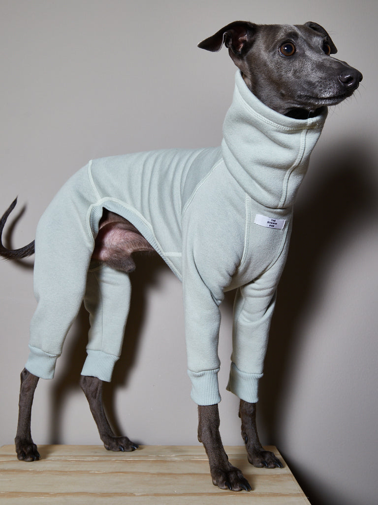 Italian Greyhound / Whippet Mint Green Turtleneck Jumpsuit RIVERSIDE