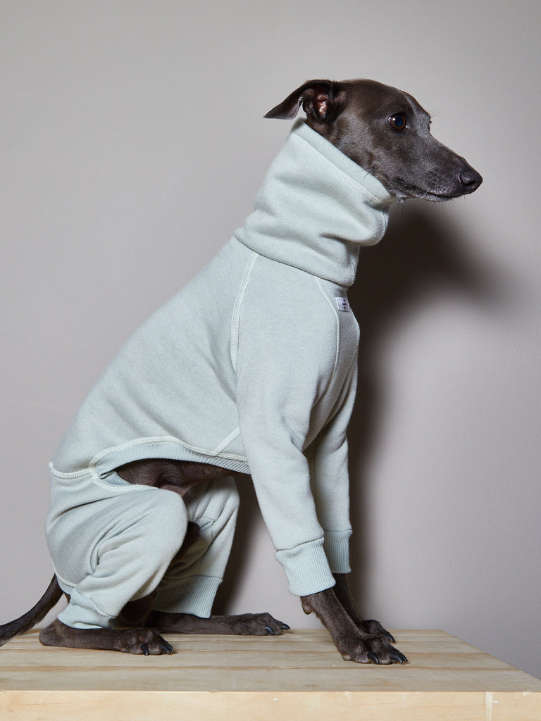 Italian Greyhound / Whippet Mint Green Turtleneck Jumpsuit RIVERSIDE
