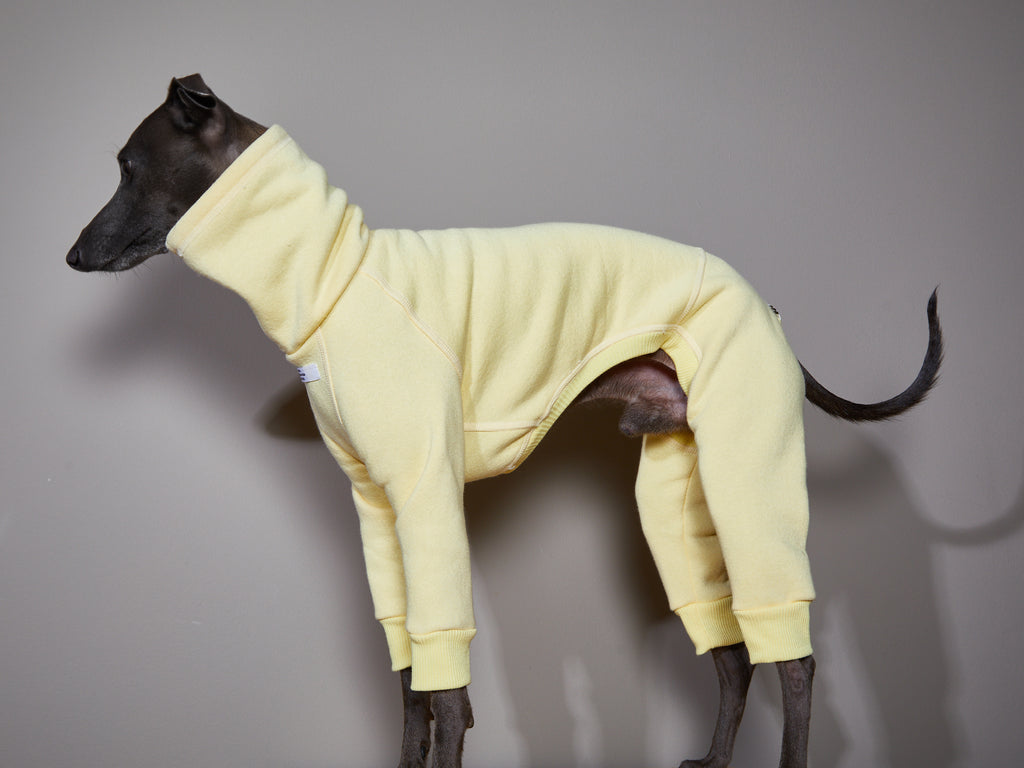 Italian Greyhound / Whippet Yellow Turtleneck Jumpsuit RIVERSIDE