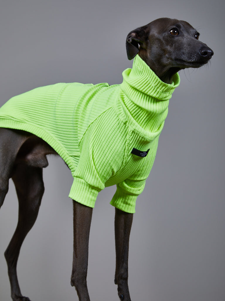 Italian Greyhound / Whippet Neon Green Ribbed Turtleneck Sweater NEON
