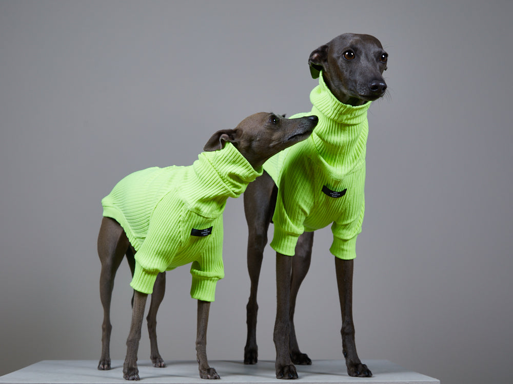 Italian Greyhound / Whippet Neon Green Ribbed Turtleneck Sweater NEON