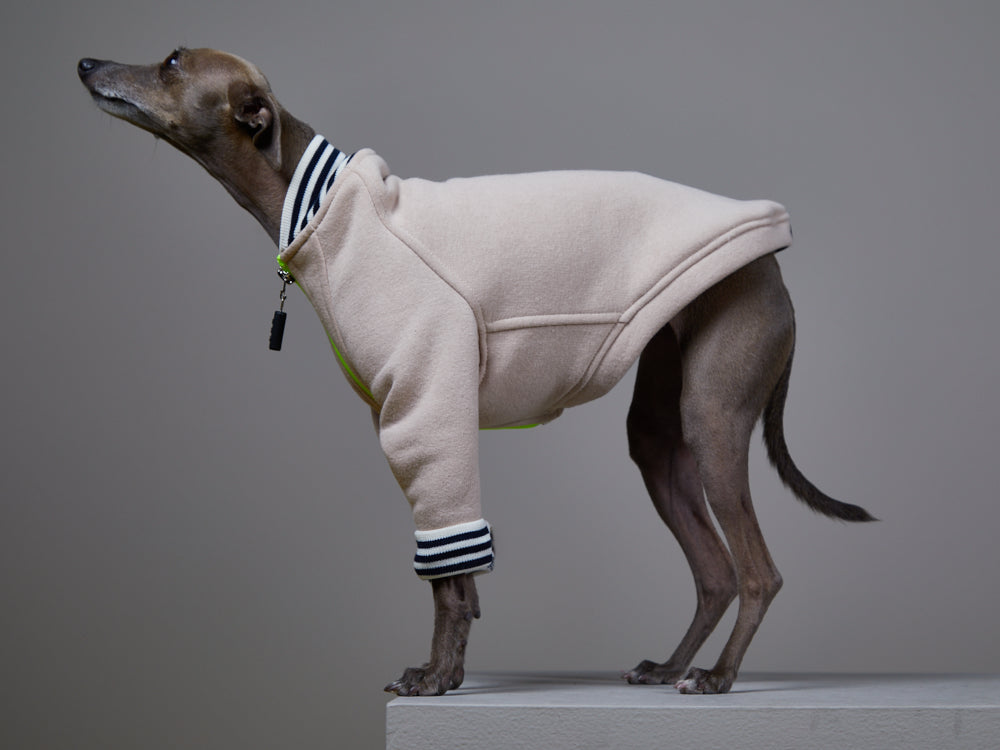 Italian Greyhound / Whippet Sand Bomber Jacket with Zipper ORBIT