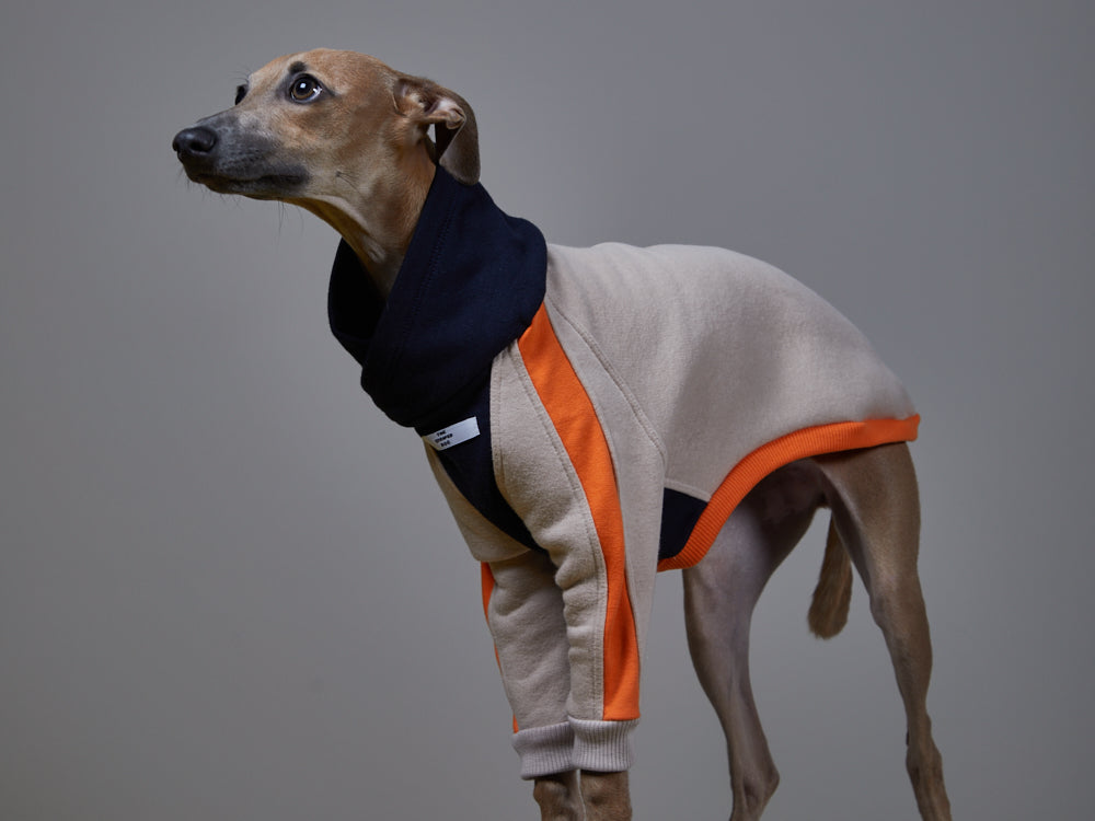 Italian Greyhound / Whippet Multicolored Turtleneck Sweater TRICOLOR