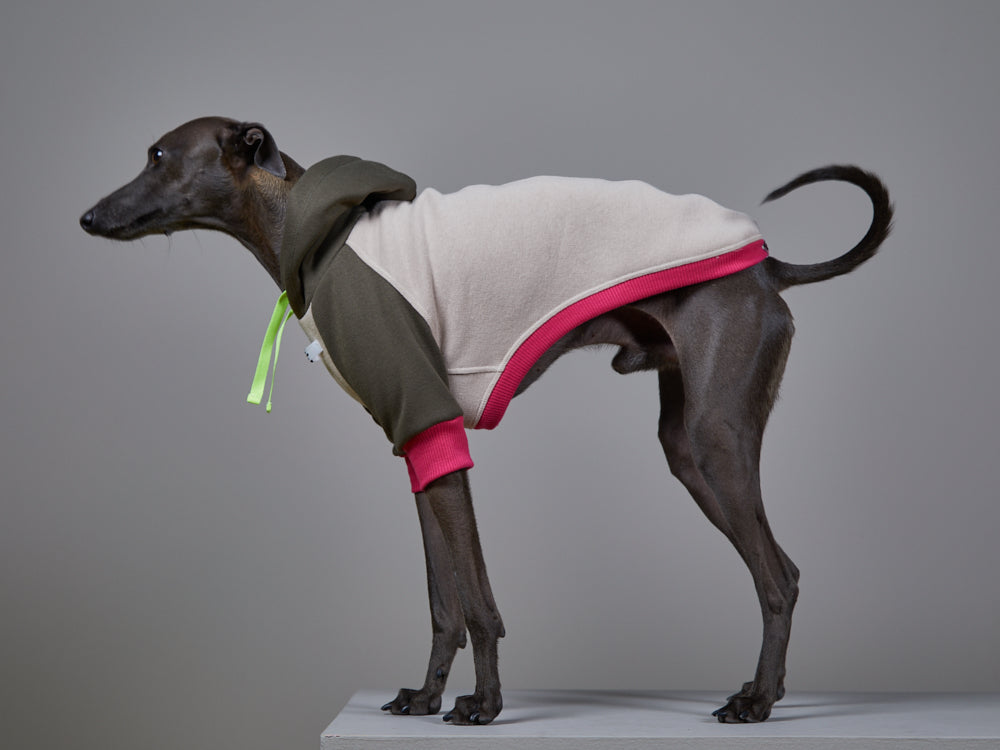 Italian Greyhound / Whippet Multicolored Hoodie BLUSH