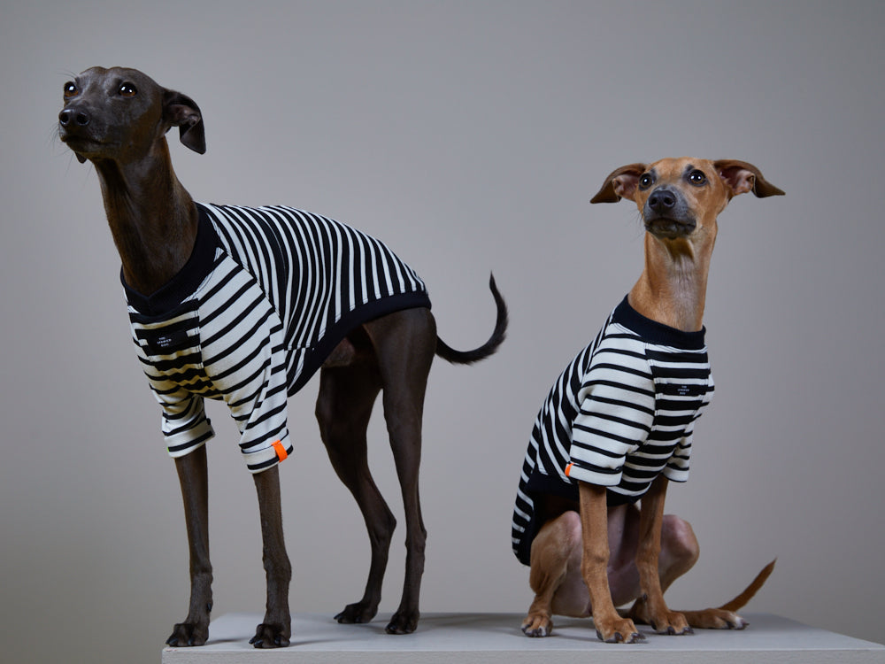 Italian Greyhound / Whippet Striped Black & White T-shirt SPECTRA