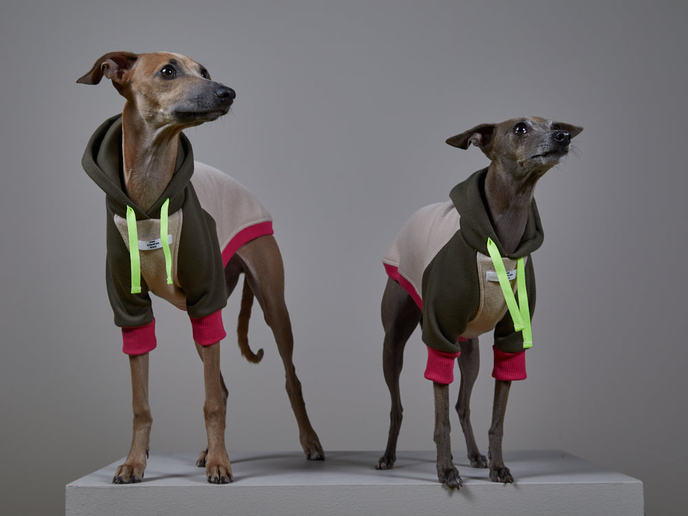Italian Greyhound / Whippet Multicolored Hoodie BLUSH