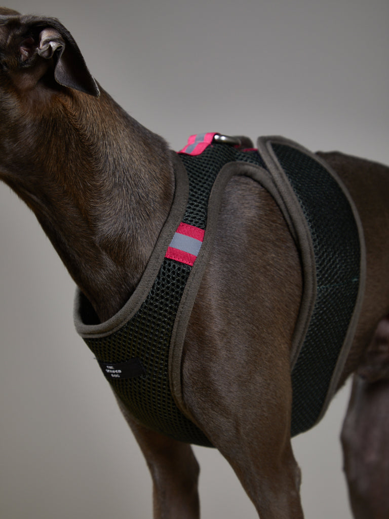 Italian Greyhound / Whippet Military Green Neoprene Harness with Reflective Neon Stripe CHROMA