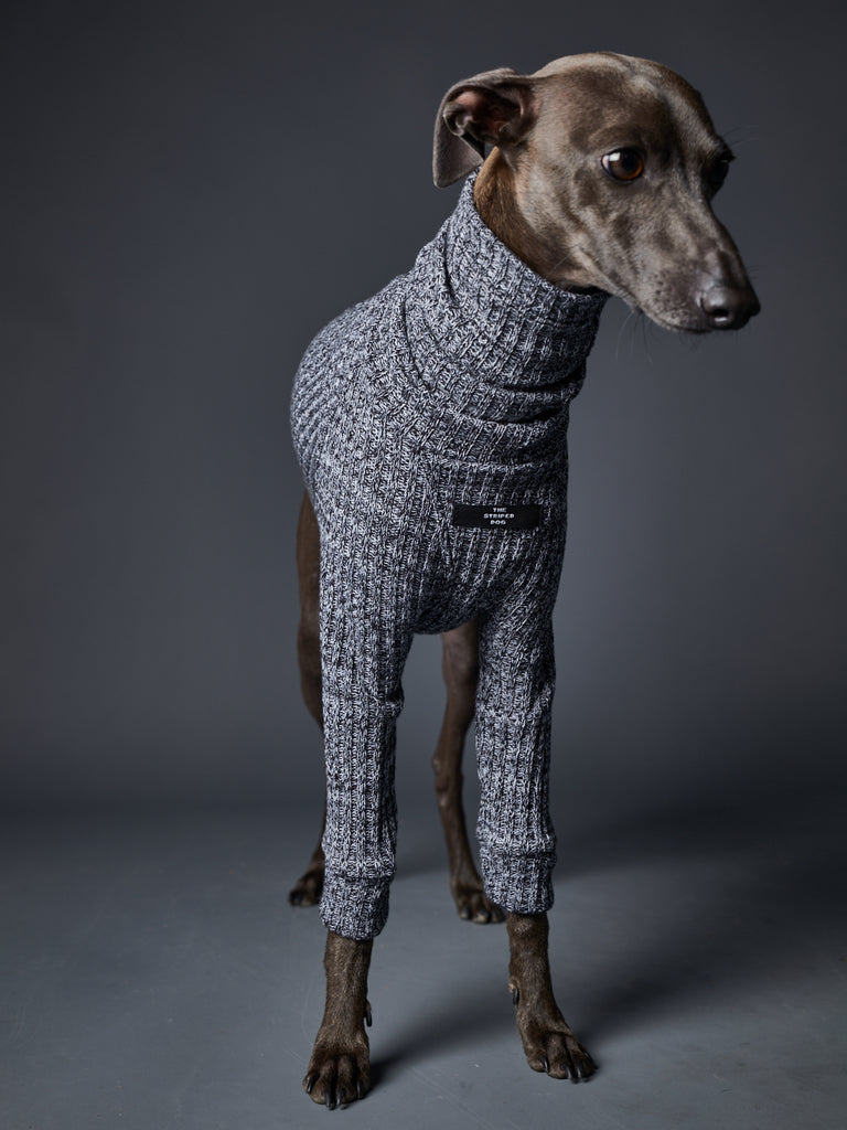 Italian Greyhound / Whippet Blue Turtleneck Sweater PALMDALE