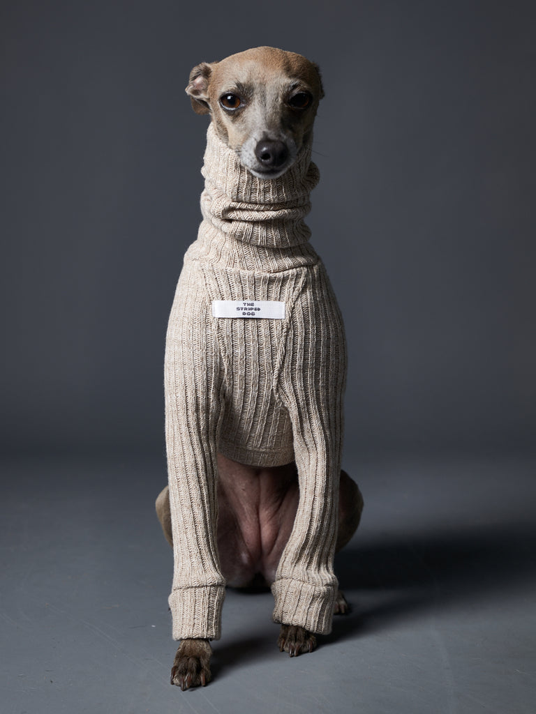 Italian Greyhound / Whippet Sand Turtleneck Sweater PALMDALE