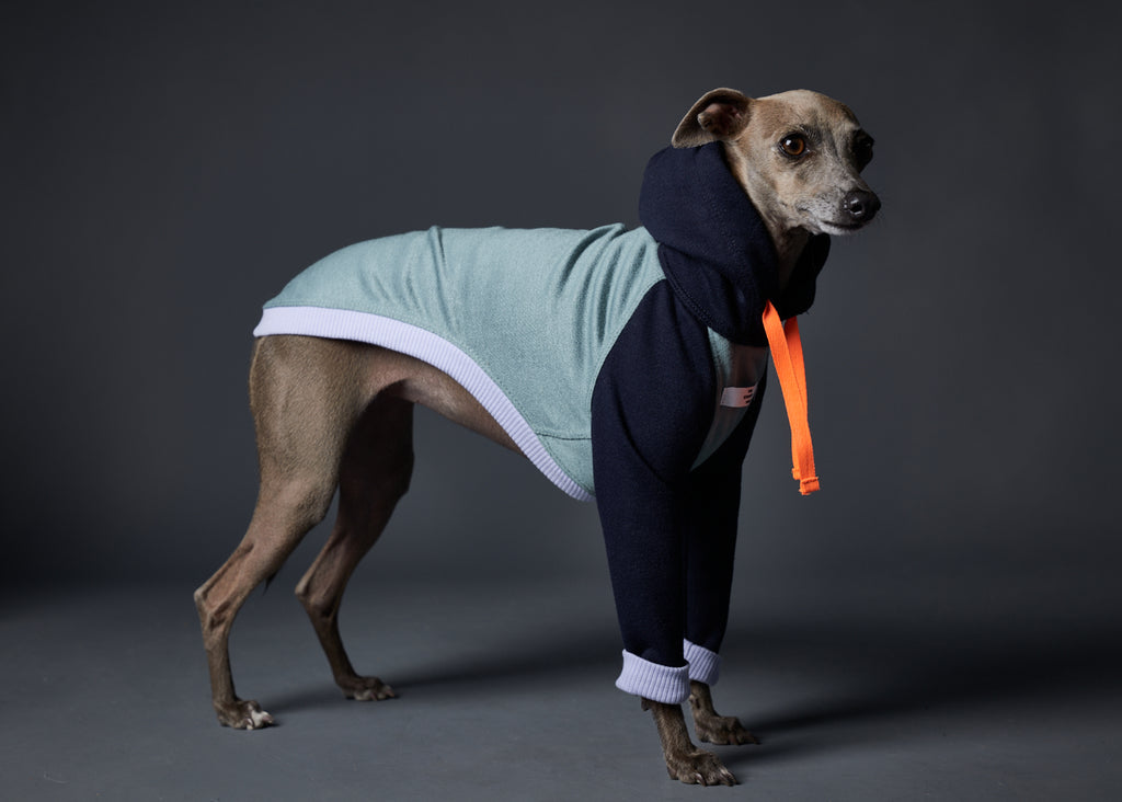 Italian Greyhound / Whippet Multicolored Hoodie BEACH