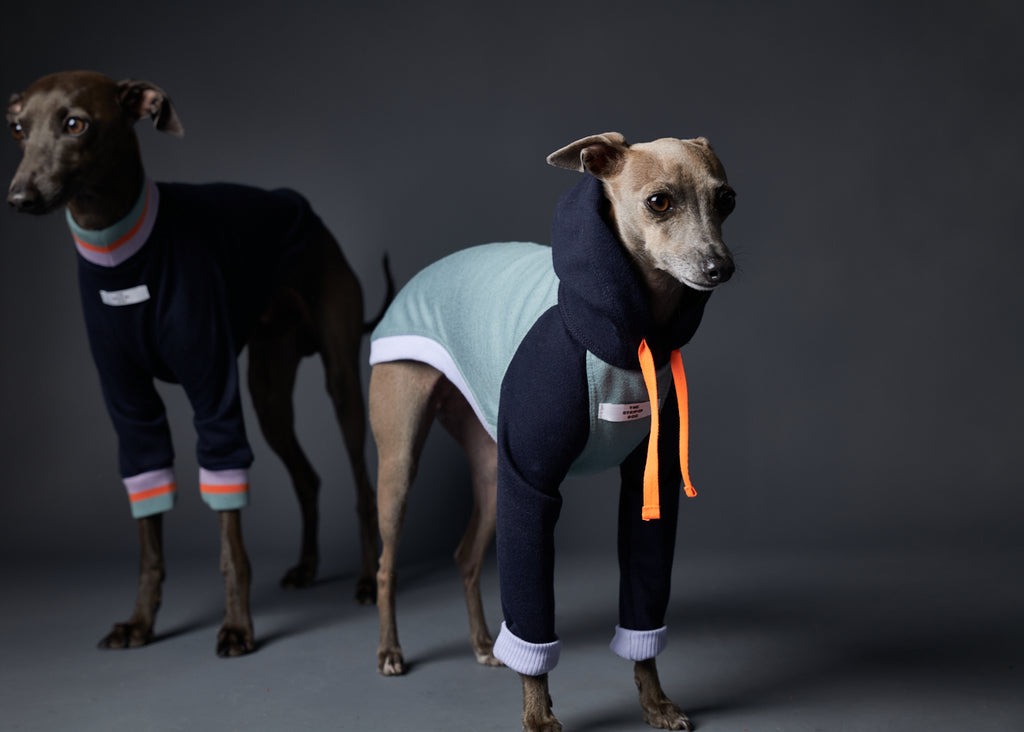 Italian Greyhound / Whippet Blue Sweater with Multicolored Neckline and Cuffs LAKEWOOD