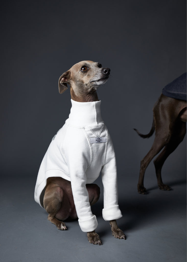 Italian Greyhound / Whippet Cream Fleece Sweater with YOURS Embroidery on the Back L.A