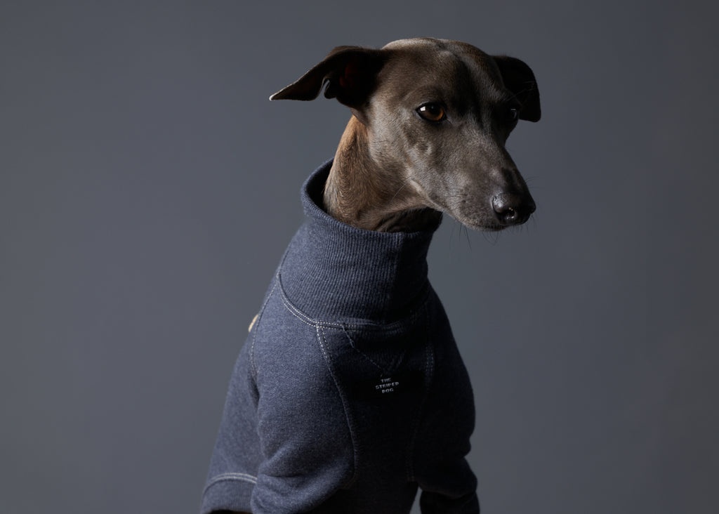 Italian Greyhound / Whippet Blue Fleece Sweater with MINE Embroidery on the Back L.A