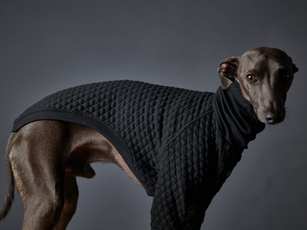 Italian Greyhound / Whippet Black Textured Turtleneck Sweater RODEO