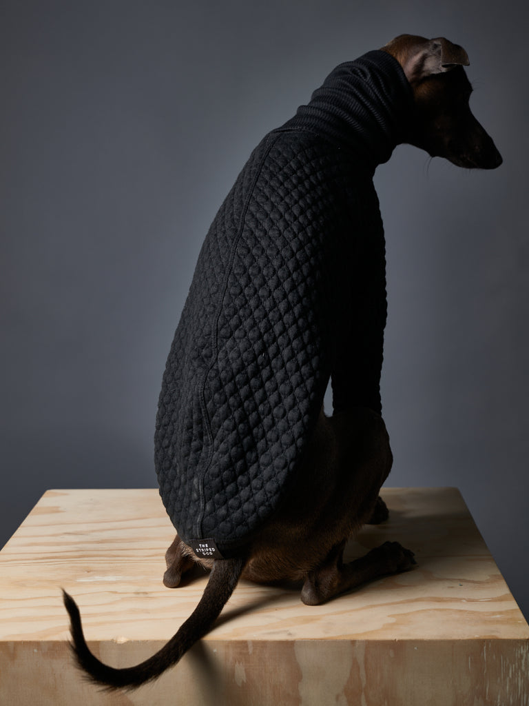 Italian Greyhound / Whippet Black Textured Turtleneck Sweater RODEO