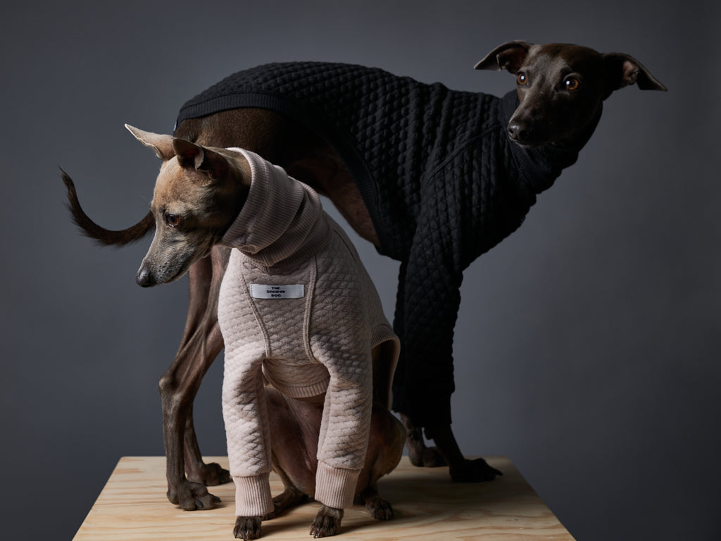 Italian Greyhound / Whippet Sand Textured Turtleneck Sweater CALIFORNIA