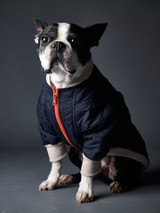 STAR Blue Waterproof Bomber Jacket with Zipper