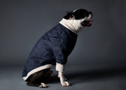 STAR Blue Waterproof Bomber Jacket with Zipper