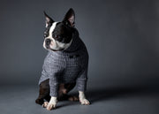 Blue Turtleneck Sweater PALMDALE