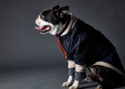STAR Blue Waterproof Bomber Jacket with Zipper
