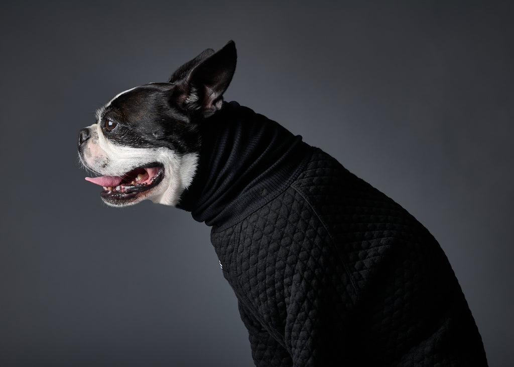 Black Textured Turtleneck Sweater RODEO