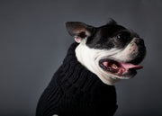 Black Knit Turtleneck Vest MALIBU