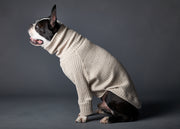 Sand Turtleneck Sweater PALMDALE