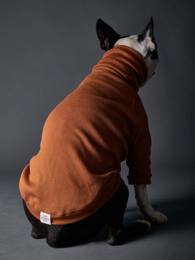 Terracotta Ribbed Turtleneck Sweater BEVERLY