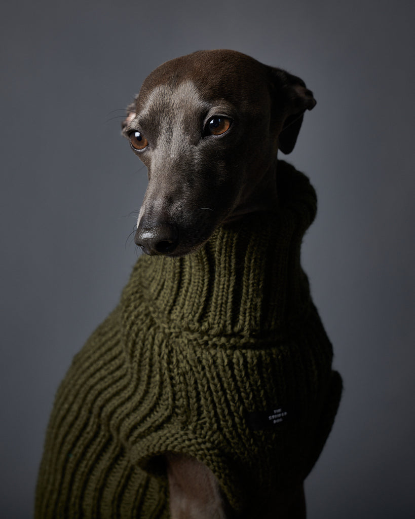 Italian Greyhound / Whippet Green Knit Turtleneck Vest MALIBU