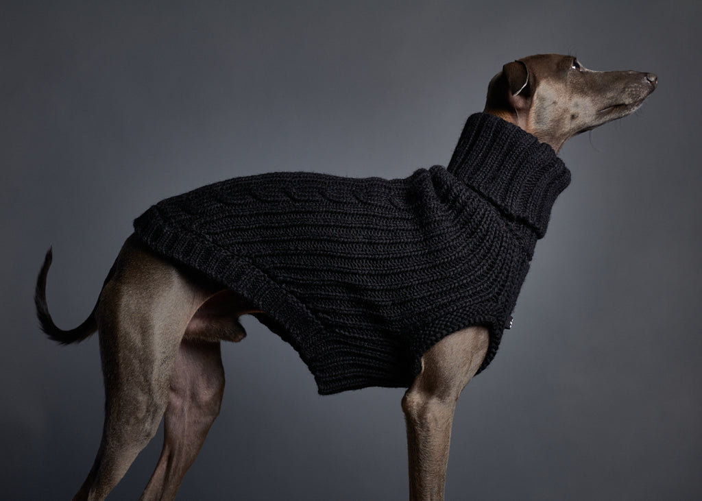 Italian Greyhound / Whippet Black Knit Turtleneck Vest MALIBU