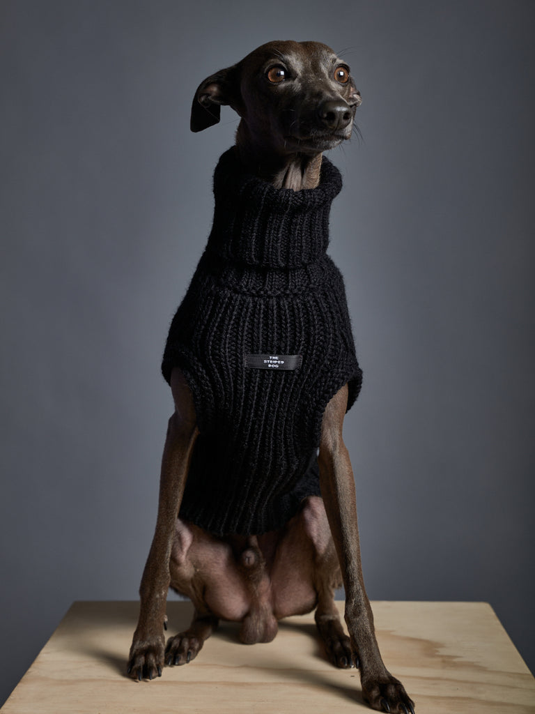 Italian Greyhound / Whippet Black Knit Turtleneck Vest MALIBU