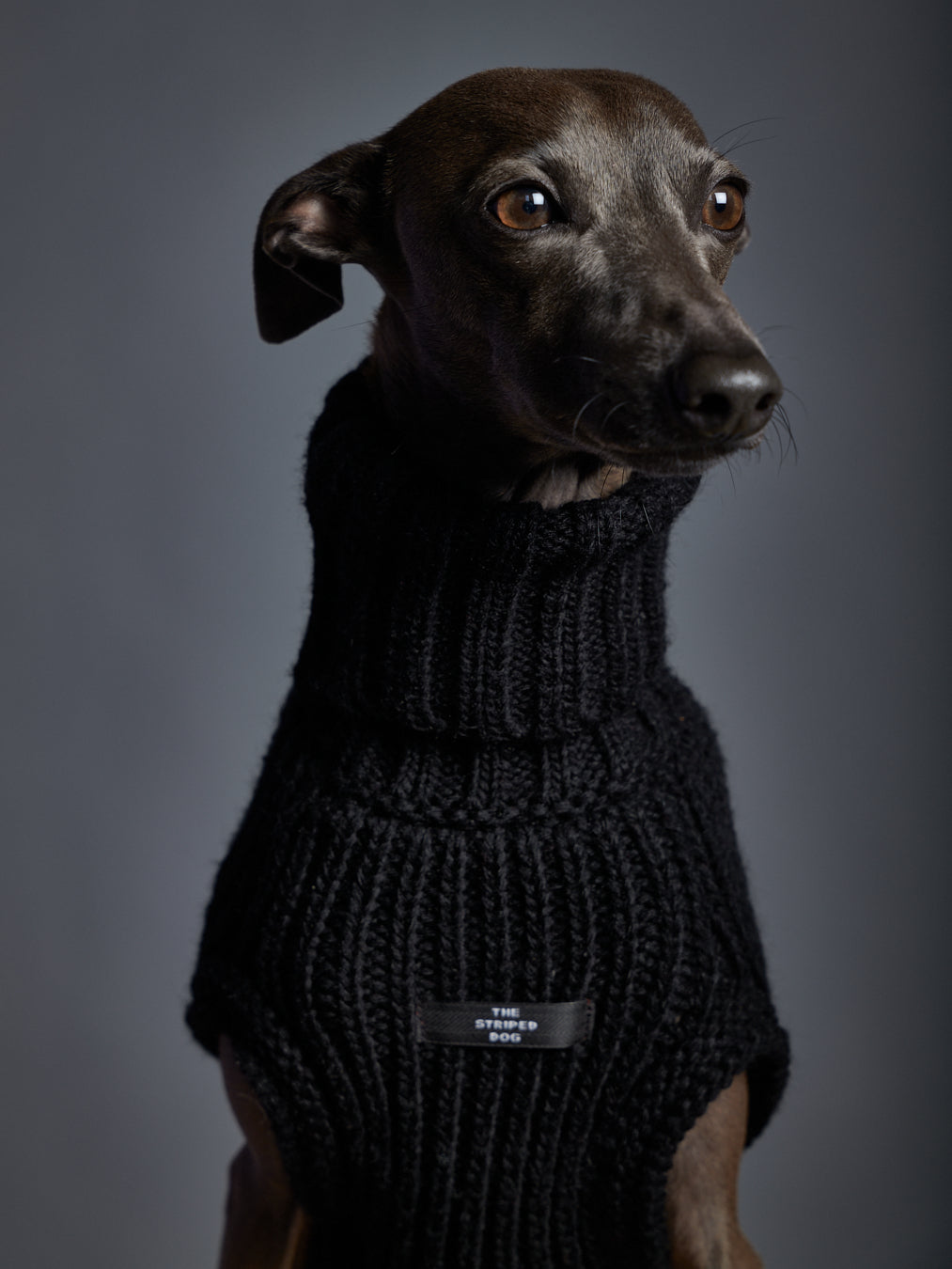 Black Knit Turtleneck Vest for Italian Greyhound and Whippet – The ...